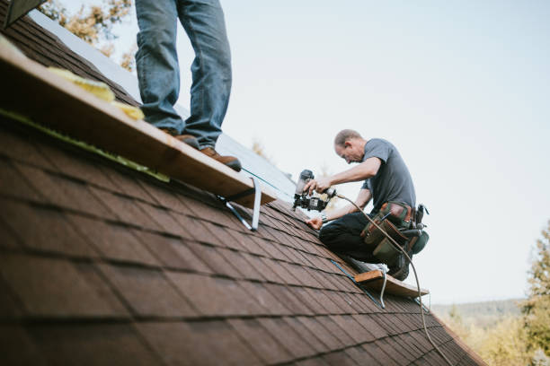 Best Green or Eco-Friendly Roofing Solutions  in USA